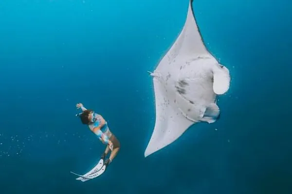 Nusa Penida Island Activities - Manta tour